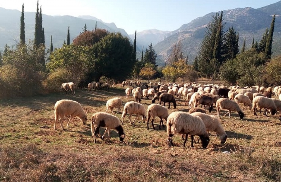 Εξισωτική Αποζημίωση: η τελική κατάταξη