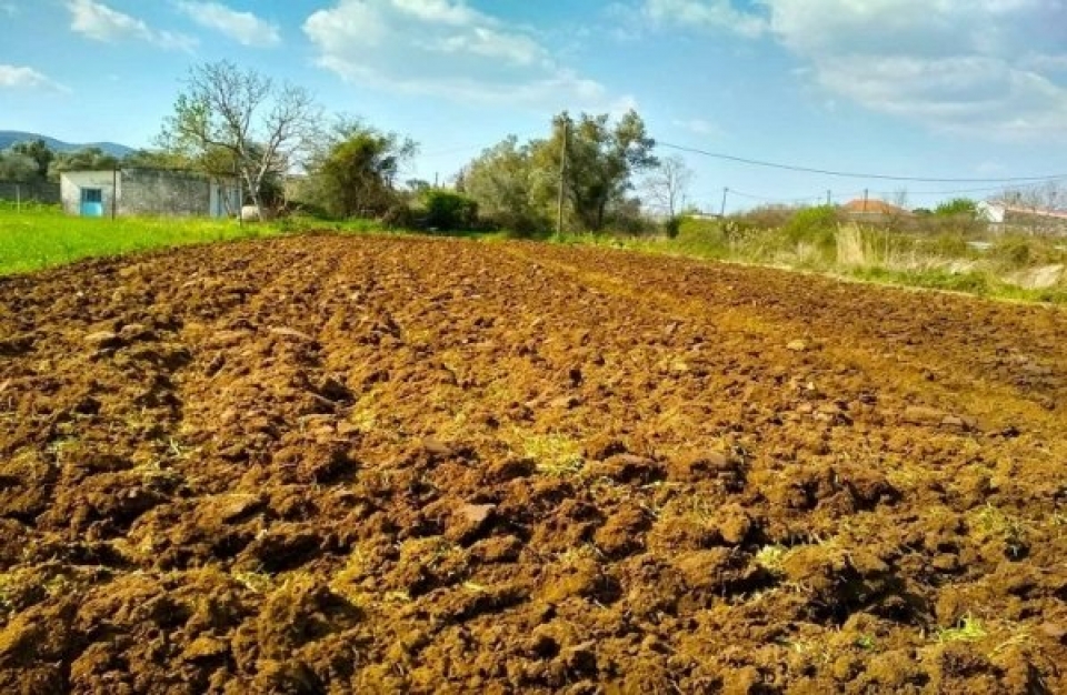 Παρατείνονται οι ευρωπαϊκοί κανόνες για τις αγροτικές ενισχύσεις