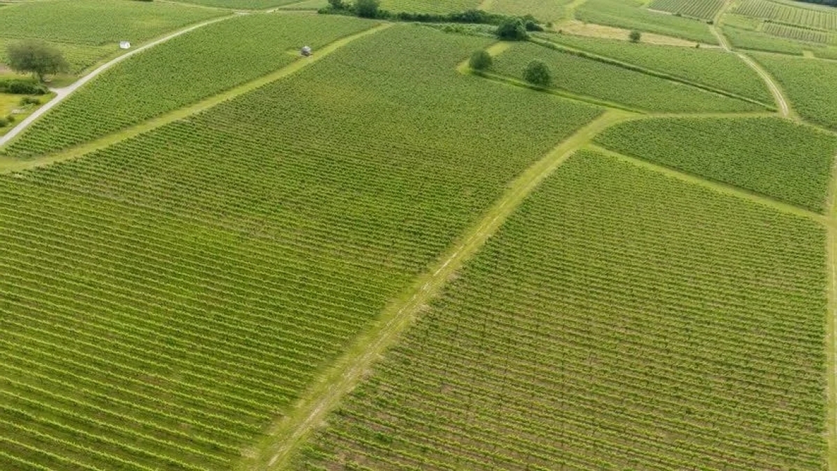 Με εντατικούς ρυθμούς συνεχίζουμε τη διαβούλευση και προετοιμασία του Εθνικού Στρατηγικού Σχεδίου για τη νέα ΚΑΠ
