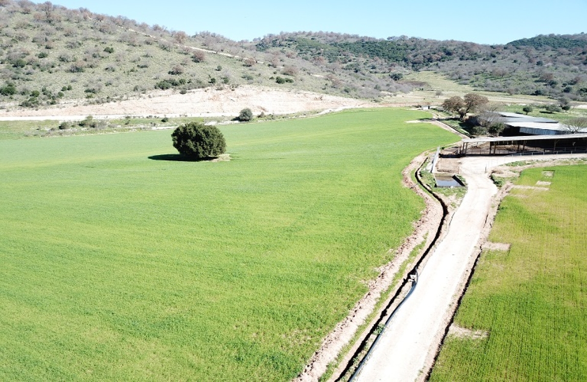 Εγκρίθηκε από την ΕΕ ο στρατηγικός σχεδιασμός του ΥΠΑΑΤ