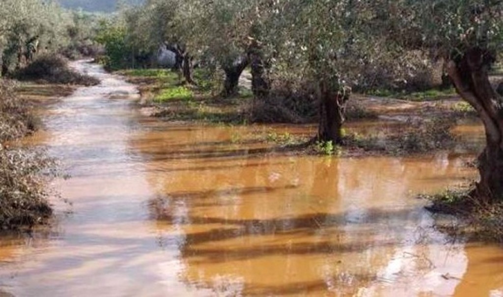 Κατοχή: Ο Αχελώος μπήκε στα χωράφια – Πλημμύρισαν οι καλλιέργειες εσπεριδοειδών
