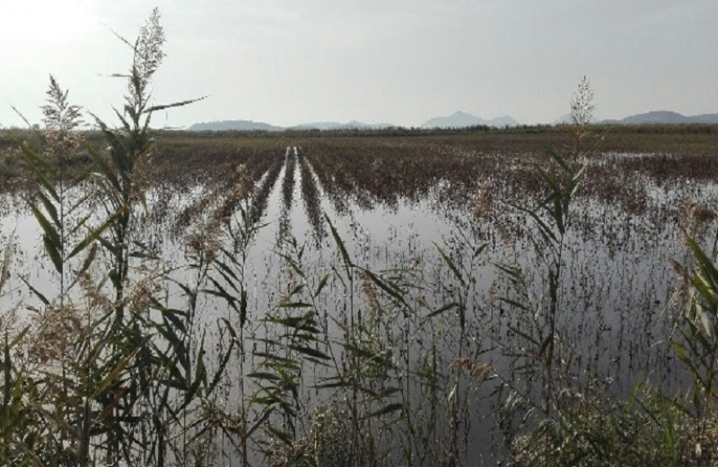 Διαδικασία εξπρές για ολοκλήρωση της εξόφλησης των αποζημιώσεων