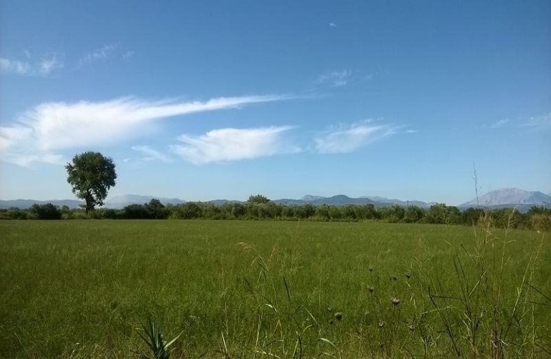 Νέα πληρωμή 2,9 εκ. ευρώ από ΟΠΕΚΕΠΕ