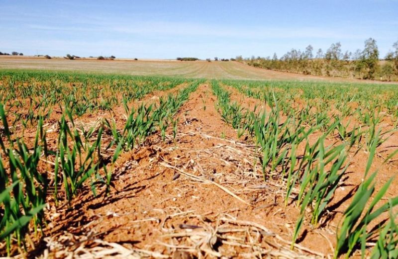 Νέα πληρωμή 1,65 εκατ. ευρώ