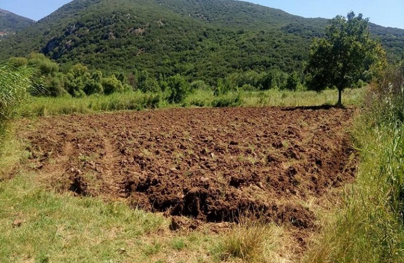 Αποτελεσμάτα ελέγχου μέσω τηλεπισκόπησης - Διαχείριση ενστάσεων