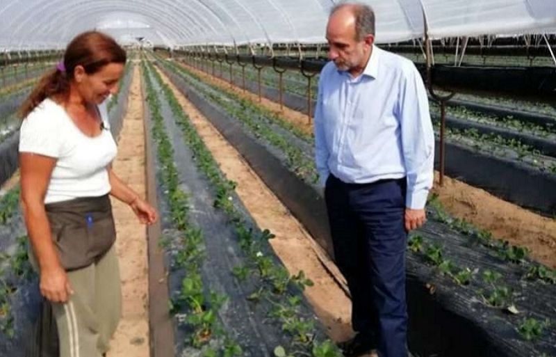 Απόστολος Κατσιφάρας: Ολοκληρωμένες προτάσεις για τη στήριξη του πρωτογενή τομέα