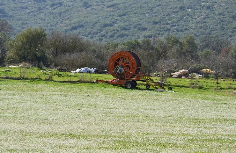 Πληρωμές ΟΠΕΚΕΠΕ σε 356 δικαιούχους