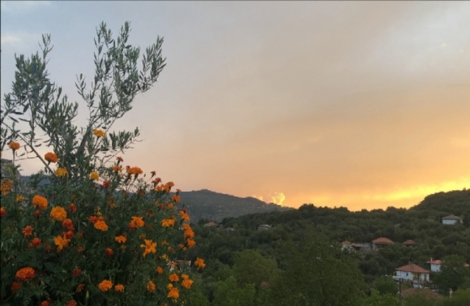 Ο χάρτης πορείας για τη μετάβαση σε μια πιο πράσινη κοινωνία