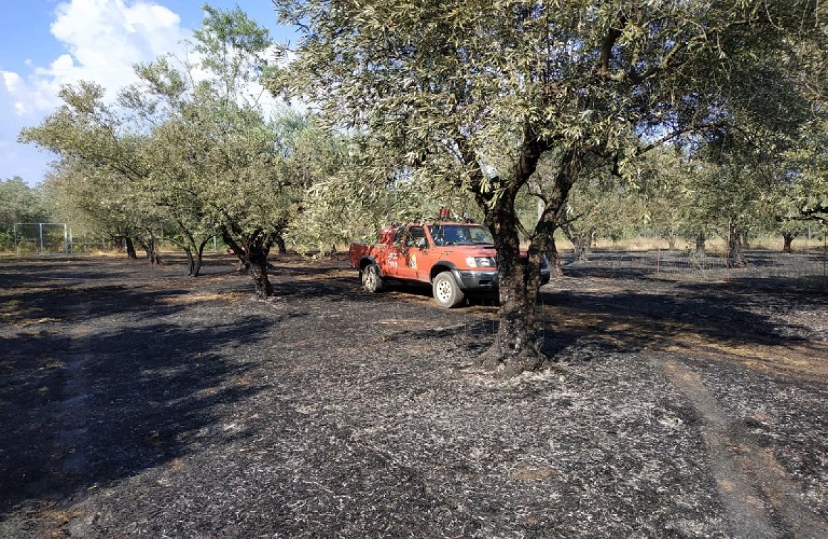 Ξεκίνησε η αντιπυρική περίοδος