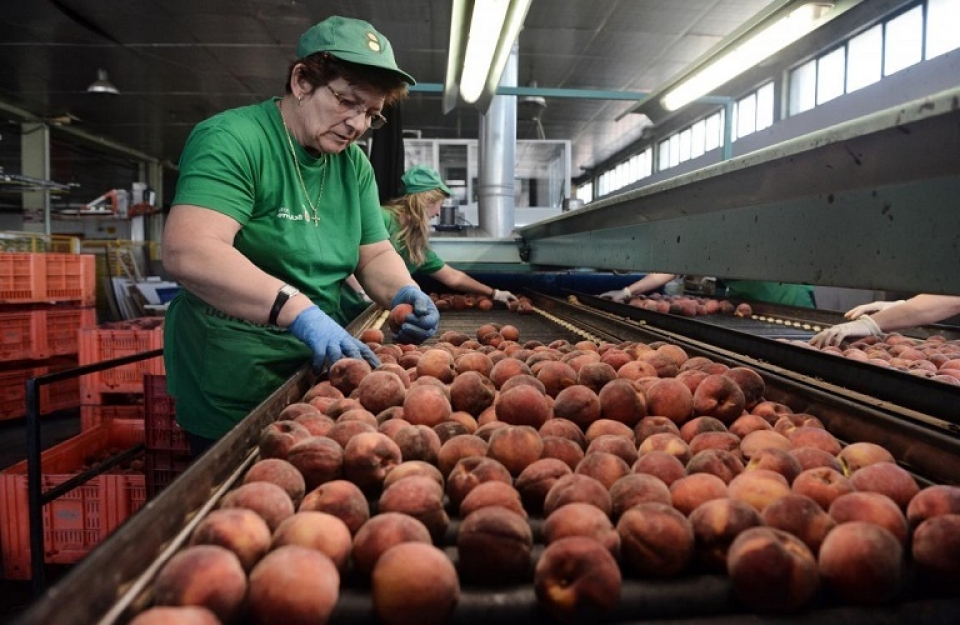 Επιστρεπτέα προκαταβολή: έως 100.000 ευρώ για εταιρείες πρωτογενούς γεωργικής παραγωγής