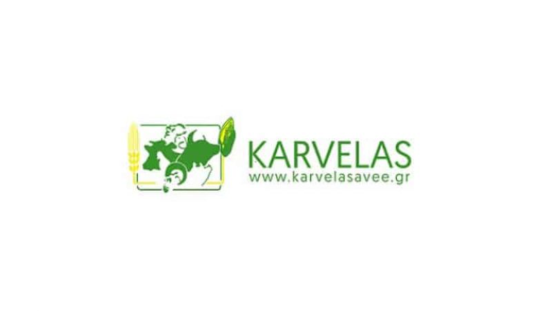 H εταιρεία ΚΑΡΒΕΛΑΣ ΑΒΕΕ αναζητά υπάλληλο για το τμήμα λογιστηρίου