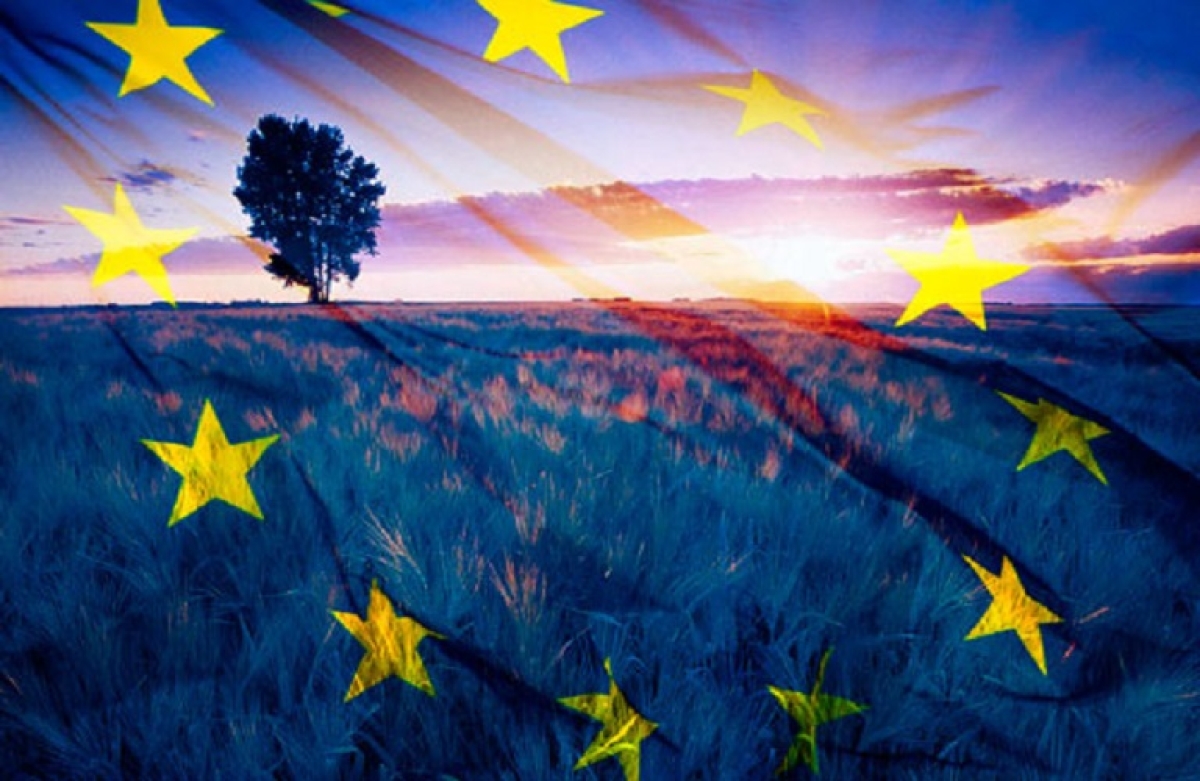 Εγκρίθηκε ο &quot;χάρτης περιφερειακών ενισχύσεων 2022-2027&quot; για την Ελλάδα