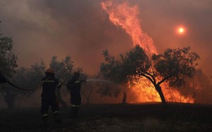 Νέα φωτιά στο Αμπελάκι Αμφιλοχίας: Σοβαρές ενδείξεις εμπρησμού ανησυχούν την τοπική κοινωνία