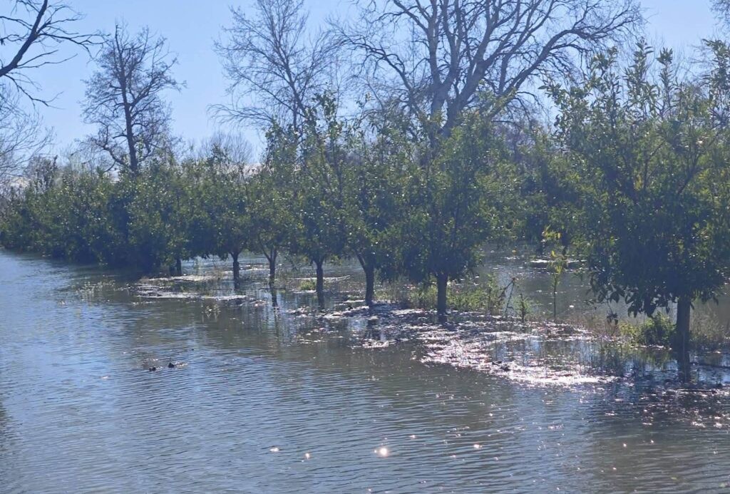 Αγωνιούν οι αγρότες στις Οινιάδες για τα πλημμυρικά φαινόμενα – Ανέβηκαν τα νερά