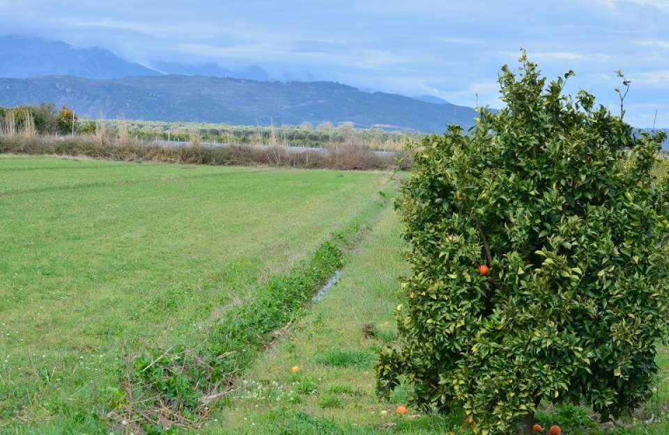 Κοινή Αγροτική Πολιτική και κοινωνική βιωσιμότητα
