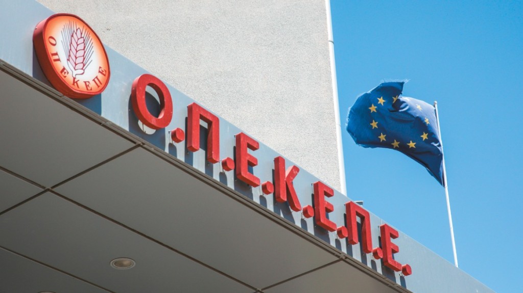 Αντιμέτωποι με έξι κακουργήματα οι συλληφθέντες στην Κρήτη για λεηλασία των επιδοτήσεων του ΟΠΕΚΕΠΕ