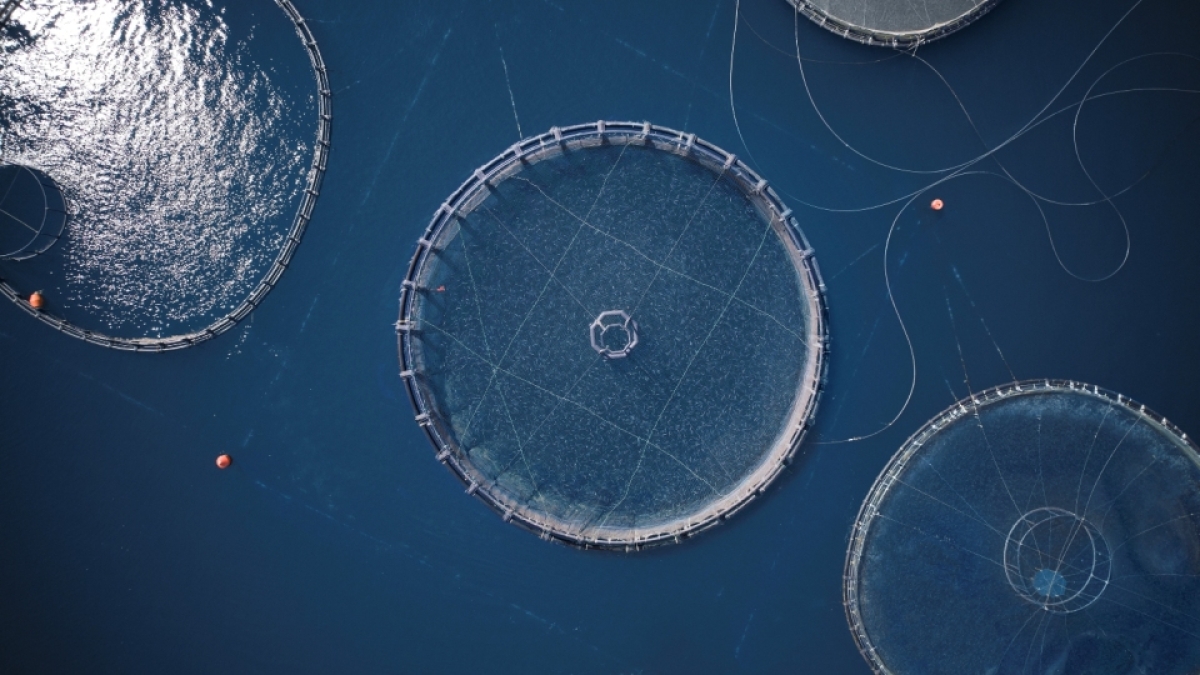 Δυναμική παρουσία της ΕΛΟΠΥ στο 16ο Πανελλήνιο Συνέδριο Διατροφής &amp; Διαιτολογίας