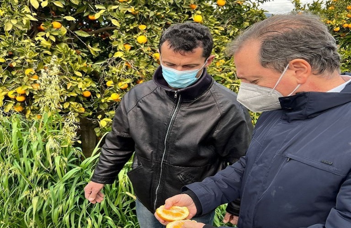 Αναζητείται τρόπος για την ταχύτερη καταβολή των αποζημιώσεων