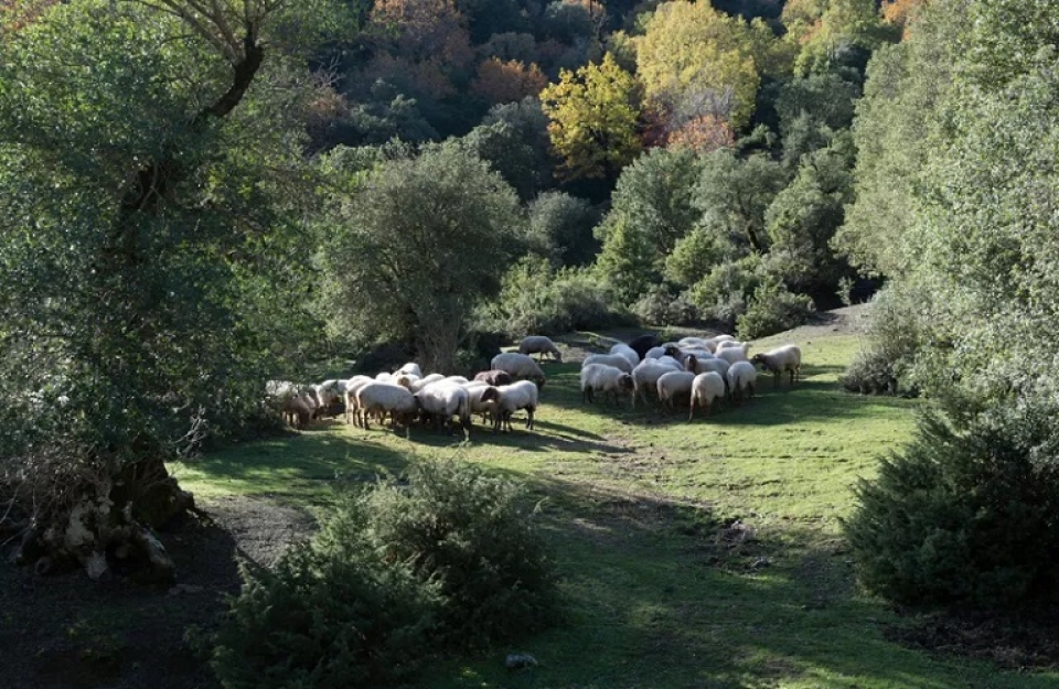 Ο Βάρρας φεύγει, το σκάνδαλο παραμένει