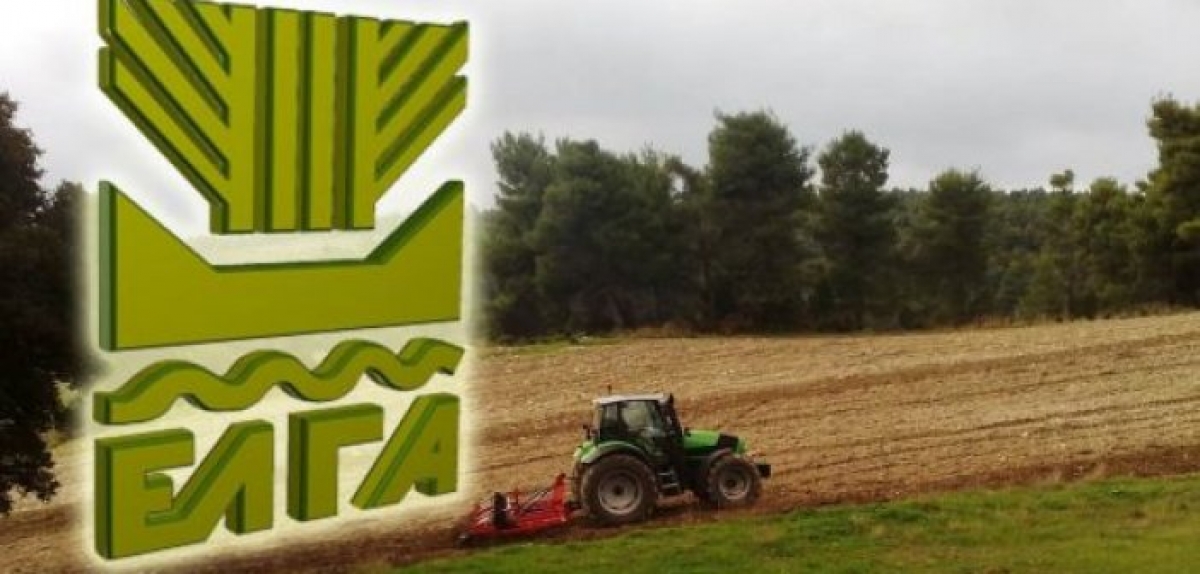 Τα χρήματα που θα εισπράξουν οι Αιτωλοακαρνάνες από τις αποζημιώσεις φυτικού και ζωικού κεφαλαίου – Αύριο η καταβολή τους