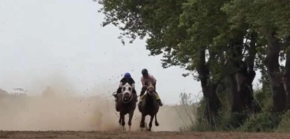 Με επιτυχία οι ιππικοί αγώνες στο Ευηνοχώρι( video)