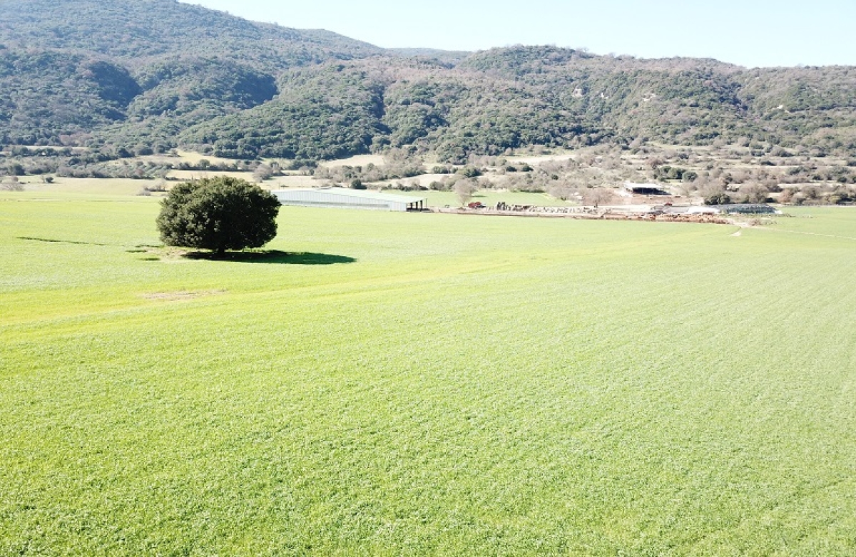 Προκηρύχθηκε το Μέτρο 16