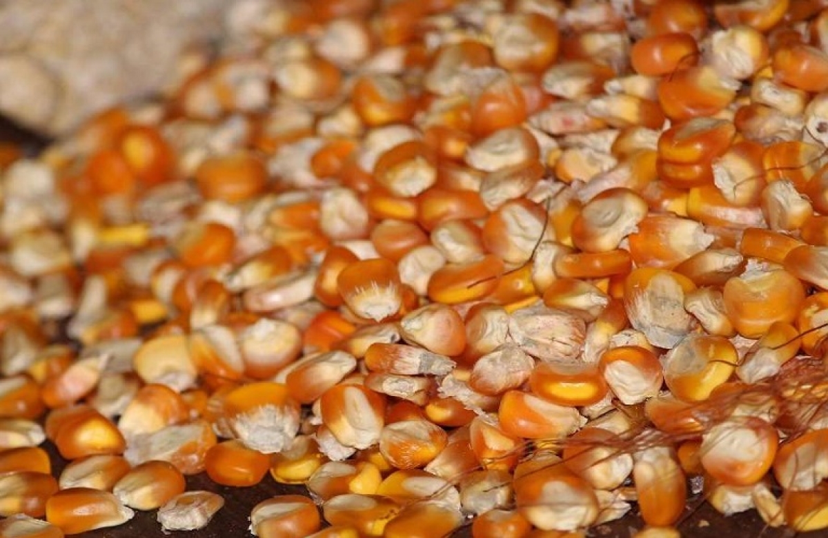 Σε ελέγχους προχωρά η Επιτροπή Ανταγωνισμού