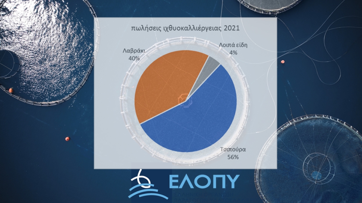 Ελληνική ιχθυοκαλλιέργεια: ρεκόρ δεκαετίας στις πωλήσεις, επενδύσεις, αλλά και ανησυχία για την αύξηση του κόστους παραγωγής.