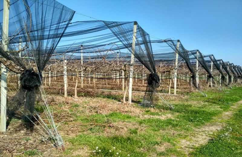 Αντιχαλαζικά: Οδηγίες για τη διαδικασία πληρωμής