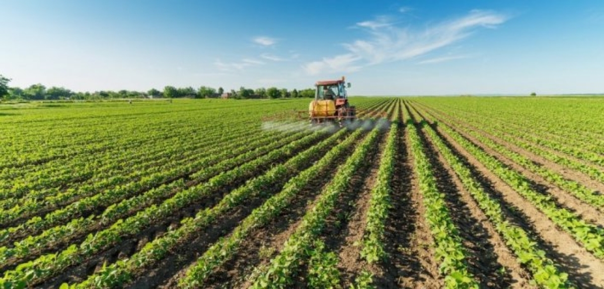 Άνοιξε η πλατφόρμα υποβολής αιτήσεων για τη χορήγηση ενίσχυσης, σε επιχειρήσεις γεωργικών εκμεταλλεύσεων, λόγω της ενεργειακής κρίσης και της αύξησης του κόστους των λιπασμάτων