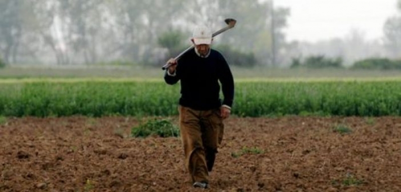 Αποζημιώσεις καλλιεργητών από την INTERAMERICAN στην Αιτωλοακαρνανία