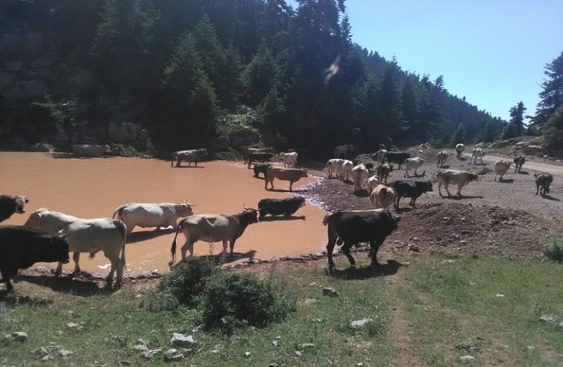 Συγκρότηση Εθνικού Κέντρου Ελέγχου Νοσημάτων
