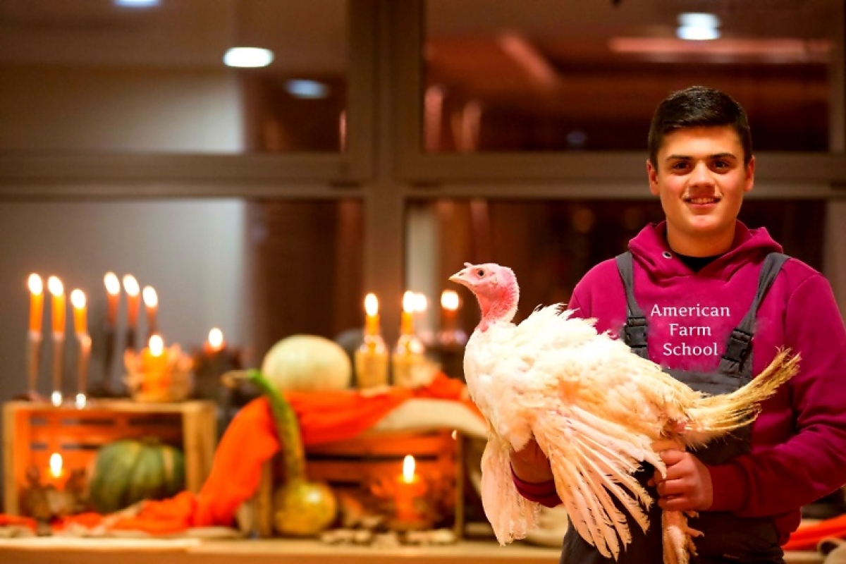 Γαλοπούλα: η «βασίλισσα» του Χριστουγεννιάτικου τραπεζιού