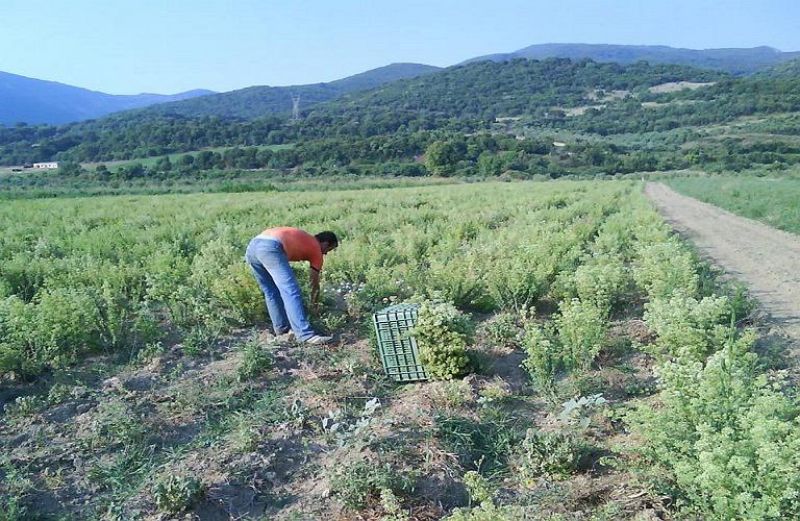 Από 9 έως 15 Ιουλίου οι ενστάσεις για τα Βιολογικά