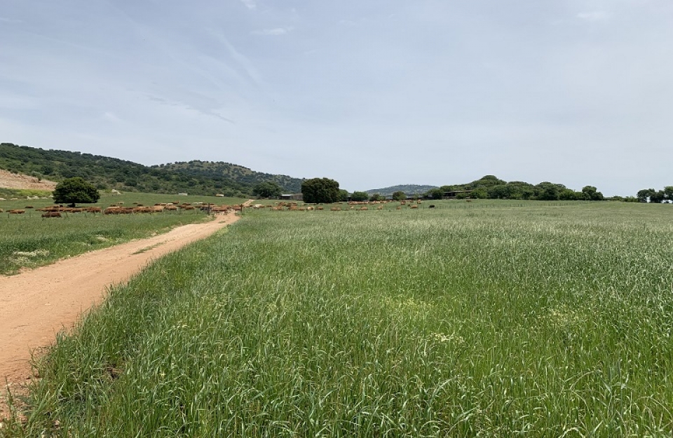 «Πως η δασική νομοθεσία δημεύει αγροτικές περιουσίες»