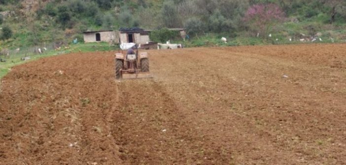 Ανοίγει ο δρόμος για συνταξιοδότηση χιλιάδων αγροτών