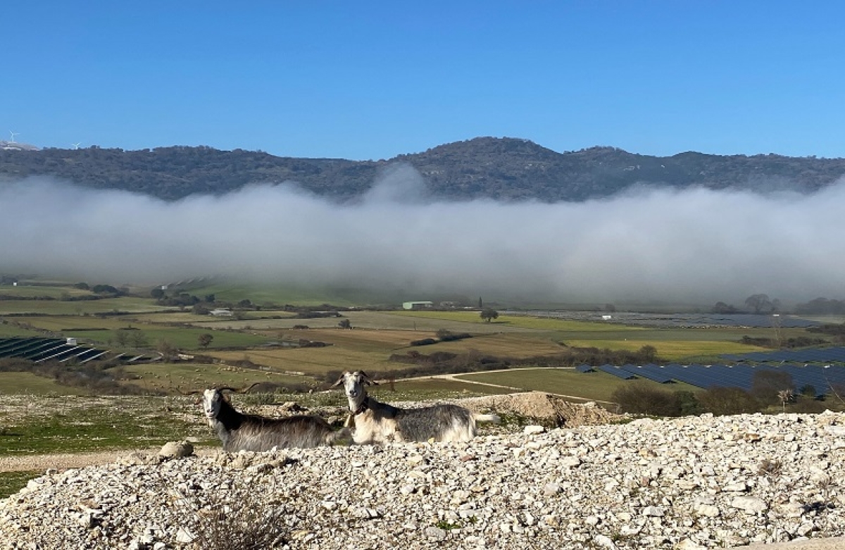 Εξισωτική αποζημίωση: Η τελική κατάταξη