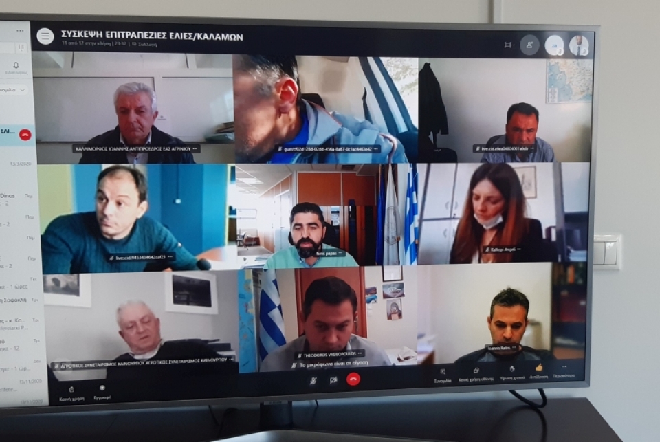 Τηλεδιάσκεψη της Περιφέρειας Δυτικής Ελλάδας με τη συμμετοχή του ΟΠΕΚΕΠΕ για τους παραγωγούς της ποικιλίας ελιάς καλαμών