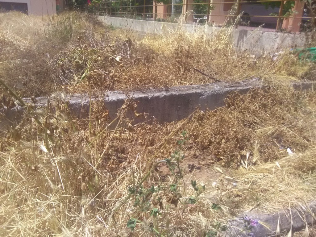 Ξεκίνησαν οι έλεγχοι σε ακαθάριστα οικόπεδα: 3.748 καταγγελίες πολιτών σε 18 ημέρες