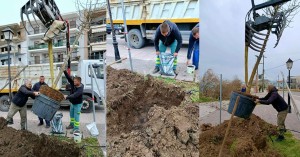 Σε εξέλιξη η δεύτερη φάση φυτεύσεων στο παραλιακό μέτωπο της Ναυπάκτου