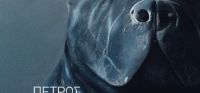 «17 Ώρες» (νέος διαγωνισμός) η κλήρωση θα γίνει την Πέμπτη 15 Δεκεμβρίου από το vivlio-life και τις εκδόσεις Πατάκη
