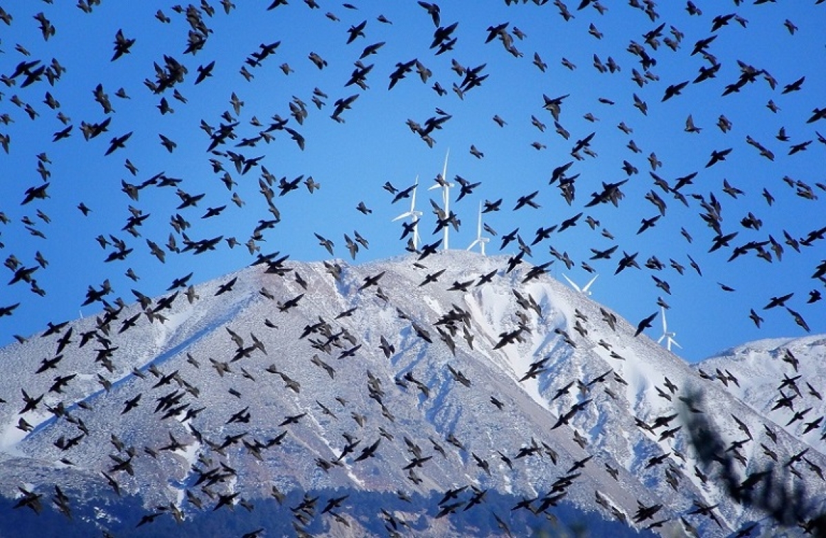 Ένωση Αγρινίου: στην τελική ευθεία τα ενεργειακά μας έργα