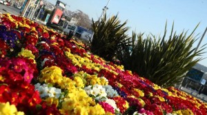 Καιρός: Ανοιξιάτικος συνεχίζει σήμερα Τετάρτη – Θερμοκρασία στους 18 βαθμούς Κελσίου