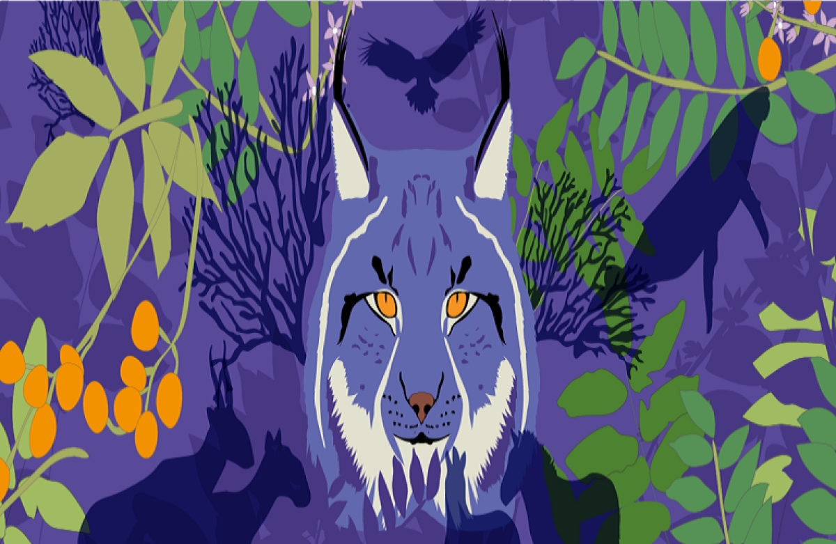 Η ανυπολόγιστη αξία της άγριας ζωής