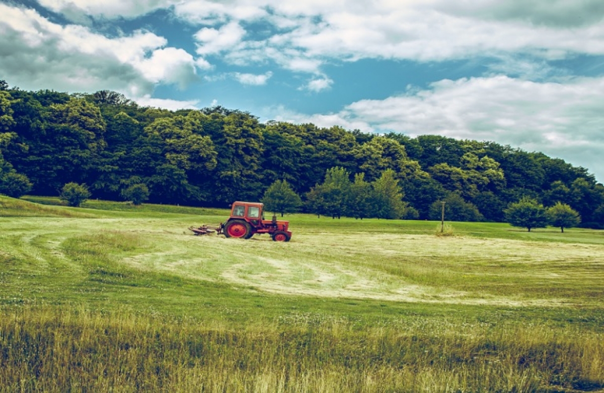 Το σχέδιο του ΥπΑΑΤ και οι μεταρρυθμίσεις της ΚΑΠ