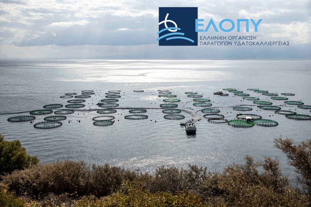 ΕΛΟΠΥ - Μέλος στο Γνωμοδοτικό Συμβούλιο της Ευρωπαϊκής Επιτροπής (MAC)