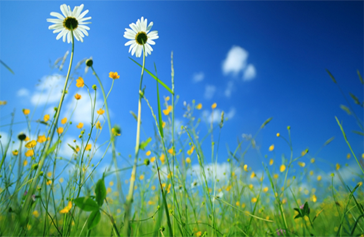 Βιολογικά: οι αλλαγές που έρχονται με τον νέο χρόνο και τη νέα ΚΑΠ