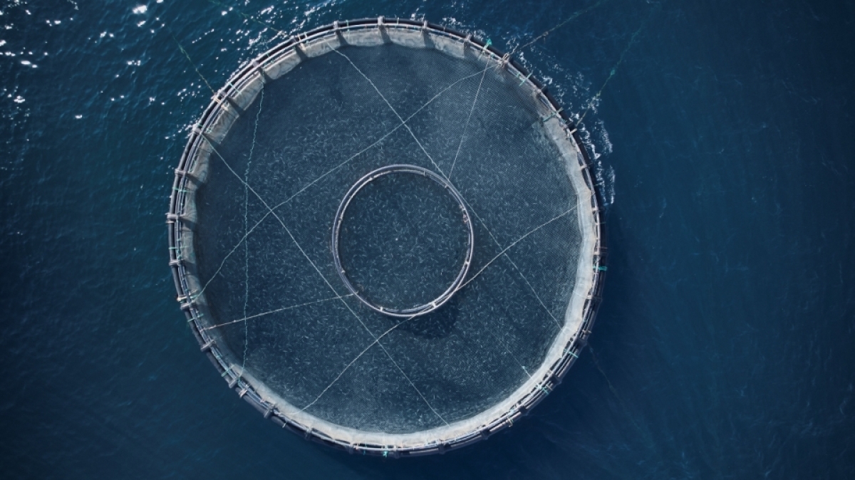 Η ΕΛΟΠΥ χορηγός στο Συμπόσιο Έρευνας Θαλάσσιων &amp; Εσωτερικών Υδάτων 2022