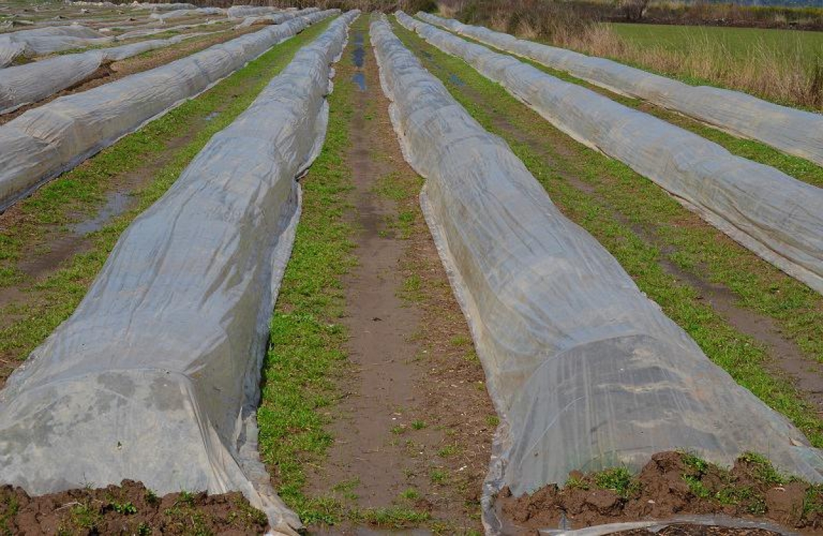 Γεωργικοί Σύμβουλοι: το θεσμικό πλαίσιο