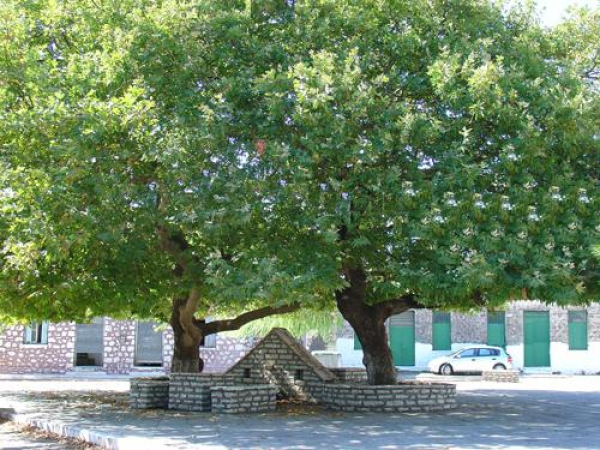 Αποκαλυπτήρια Μνημείου Ηρώων και Αγωνιστών του 1821 στην Κωνωπίνα την Τρίτη 17 Αυγούστου 2021 20:00